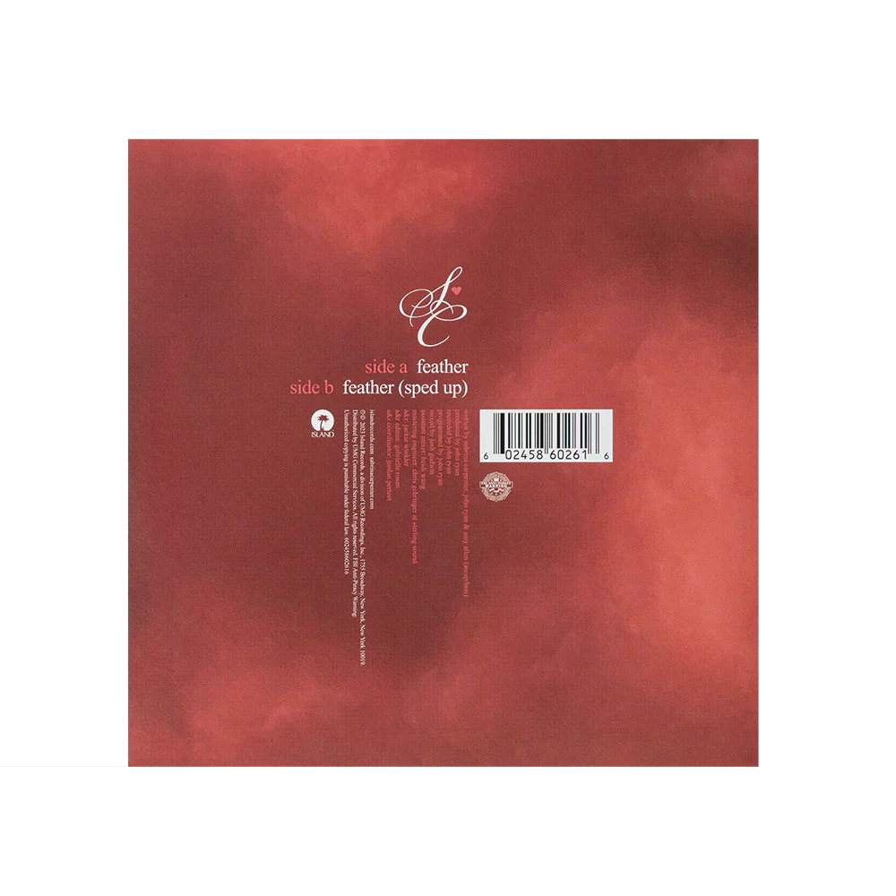 Feather 7" Vinyl - Image 3