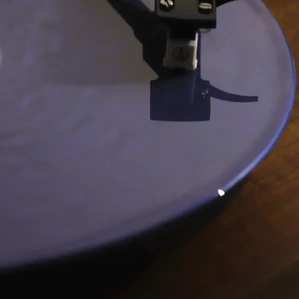 Man's Best Friend D2C Luxe Packaging LP - Image 6